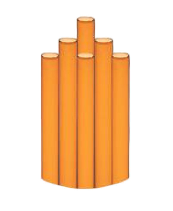 عنبرى